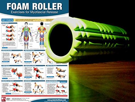 Foam Roller Myofascial Release Chart Poster Muscle Massage