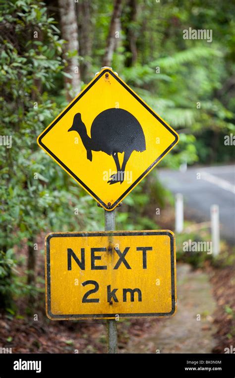 Cassowary Road Sign Hi Res Stock Photography And Images Alamy