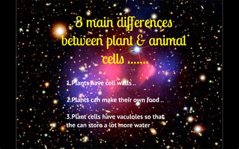 What is the 3 main differences between plant and animal cells. 3 main differences between plant & animal cells ....... by ...