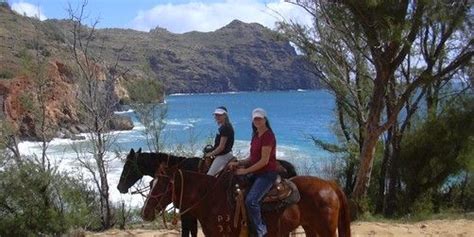 Poipu Horseback Riding Kauai Nawiliwili Hi Carnival Cruise Line