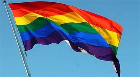Bendera negeri memaparkan bulan sabit berwarna hijau di bawah perisai kuning dan dilingkungi oleh jambangan padi berwarna kuning di atas latar belakang merah. Sejarah Bendera Pelangi, Simbol Bagi Para LGBT Seluruh ...