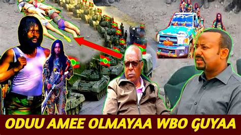 Oduu Amee Guyaa Araa Injifannoo Waranaa Bilisumaa Oromo Nanao Oromiya
