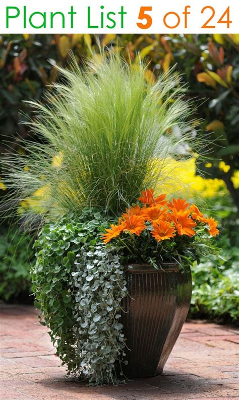 Stunning Container Garden Planting Ideas Garden Containers Patio
