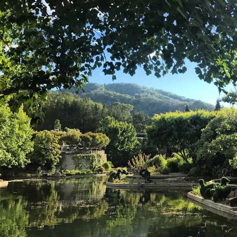 Lütfen farklı bir tarih seçin. Gilroy Gardens 20th Birthday Party Celebration - Best ...