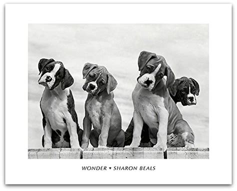 Sharon Beals Wonder Puppies Tilting Heads Animal Photography Decorative