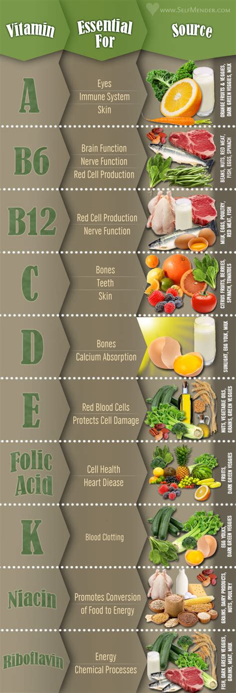 Most Important Vitamins And Minerals