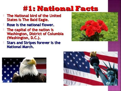 Amazing Facts About The Usa