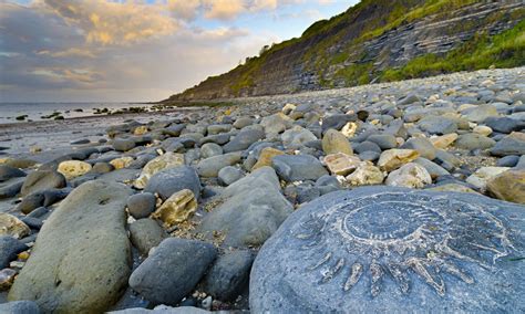 Lets Go To The Jurassic Coast Travel The Guardian