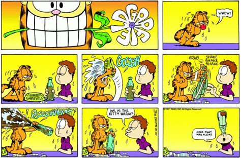 Beat The Heat With Garfields Summertime Swagger Gocomics Garfield