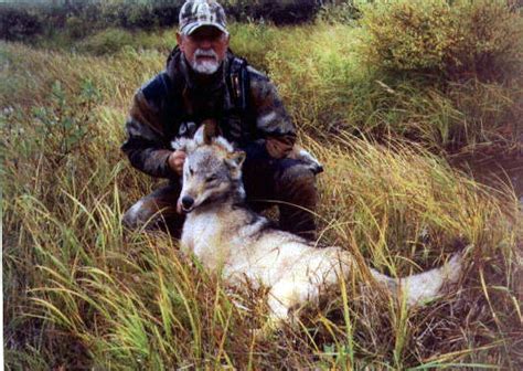 Alaska Wolf Hunting Master Guide Smokey Don Duncan Alaska Private