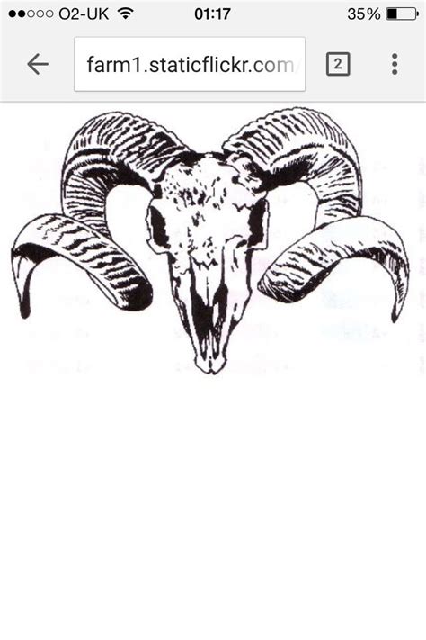 Goat skull in ink graphic technique. Another tattoo I'm getting! (With images) | Ram skull ...