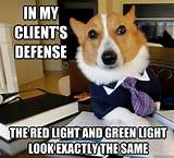 Lawyer Dog Meme Images