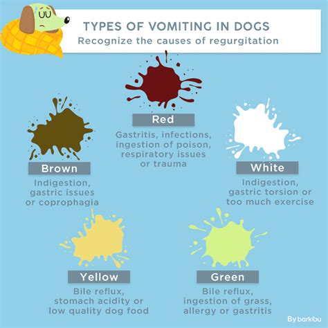 My Dog Vomits A Dark Brown Liquid And Does Not Eat Whats Wrong