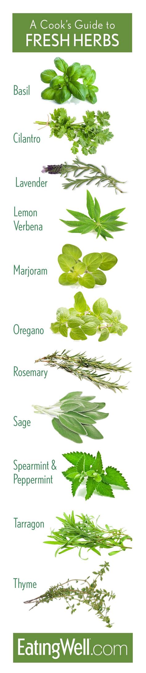 Guide To Cooking With Fresh Herbs Herbs Cooking With Fresh Herbs