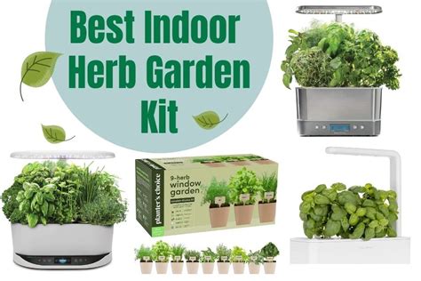 How To Use Indoor Herb Garden Kit