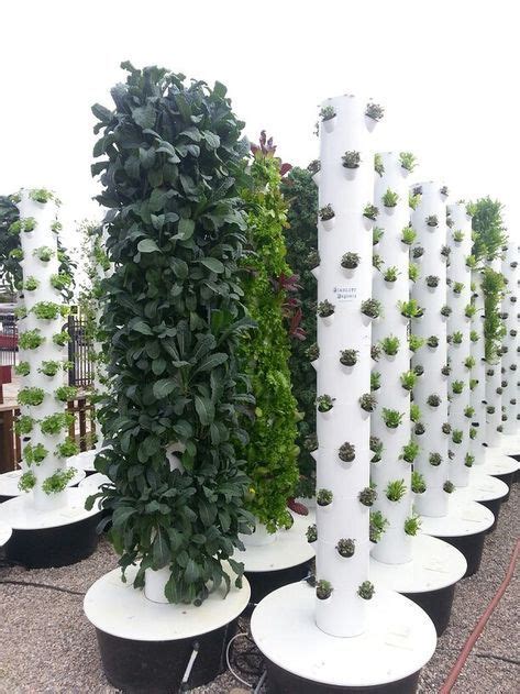 Stunning 30 Vertical Hydroponics Gardening Ideas Gardenmagz
