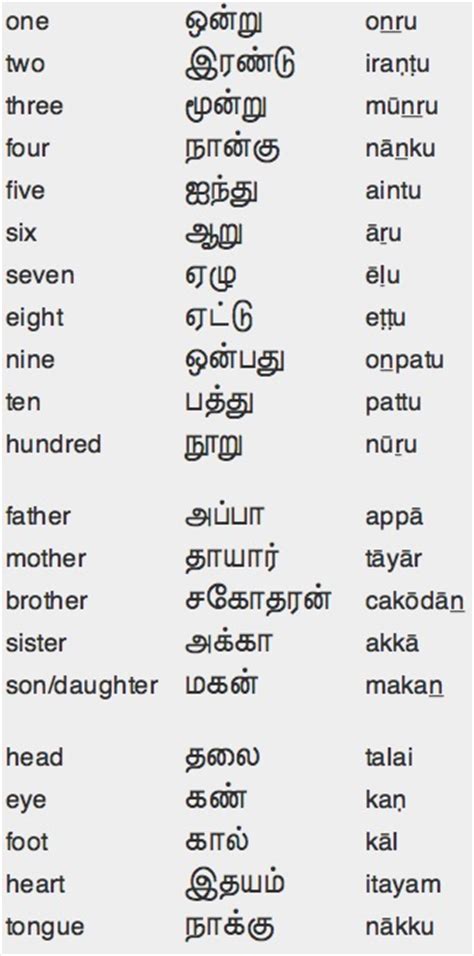 English Grammar Tenses Table In Tamil Meaning