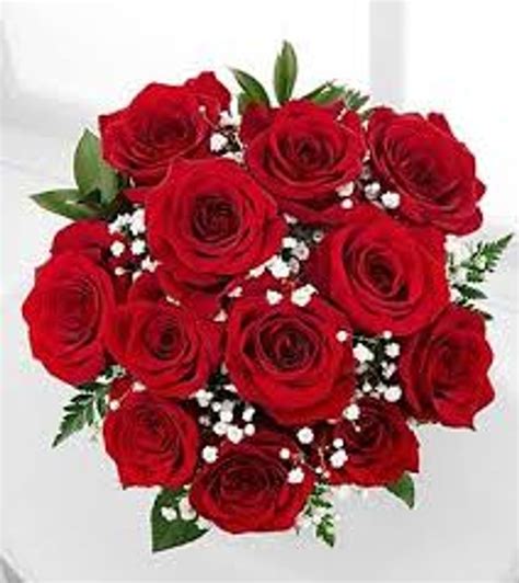 One Dozen Red Roses Wrapped Bouquetsend Today For Sending Love On