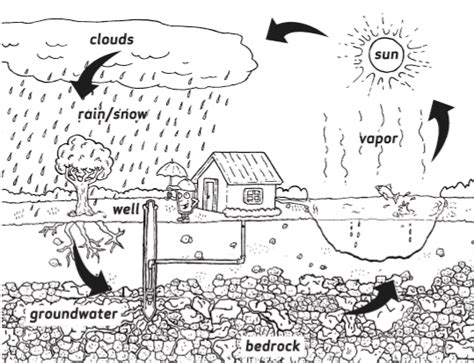 Simple water cycle coloring page from natural phenomena category. Weather Wiz Kids weather information for kids