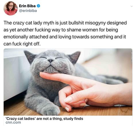 Crazy Cat Lady Crazy Cats Images  Funny Images Dankest Memes