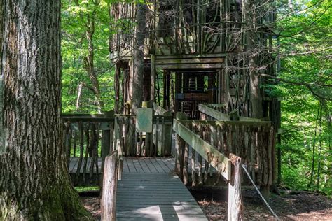 Hiking To The Six Story Treehouse At The Cayuga Nature Center Near