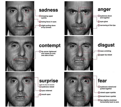 How Paul Ekmans Theory Of Emotion Can Help You Better Understand