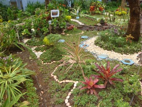 Meskipun tanpa melakukan tindakan perawatan yang khusus, tanaman hias yang menghasilkan bunga yang cantik ini akan mampu tumbuh dan berkembang dengan baik. DESAIN TAMAN SEKOLAH DENGAN BUNGA HIAS & BONSAI TAMAN