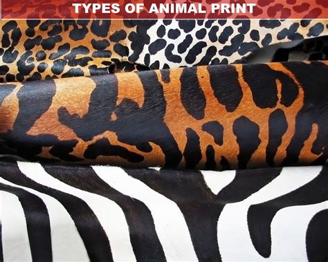 How To Use Animal Prints To Decorate Your Interior