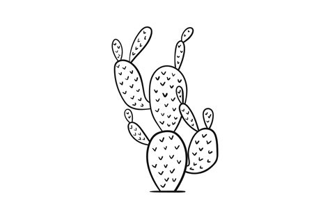 Prickly Pear Cactus Svg Cut File By Creative Fabrica Crafts · Creative