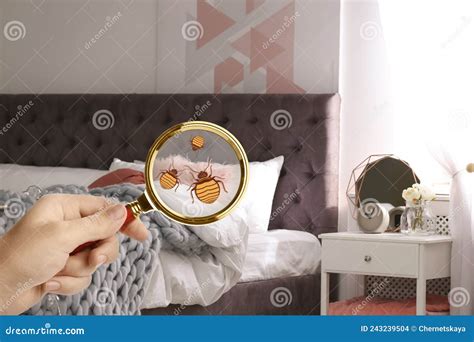 Woman With Magnifying Glass Detecting Bed Bugs In Bedroom Closeup