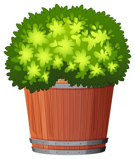 A Plant In The Pot 605916 Vector Art At Vecteezy