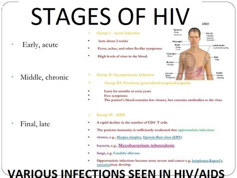 The Above Image Shows Various Oppertunistic Infections Seen In Different Stages Of Hiv In The