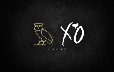 Ovo Owl Wallpaper 78 Images