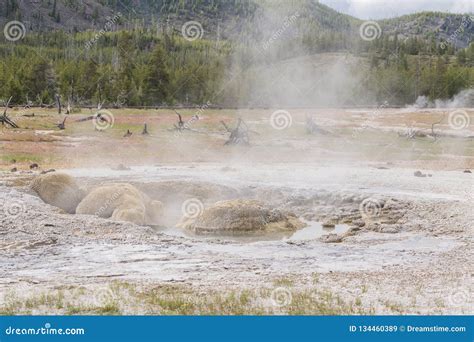 Yellowstone National Park Landscape Geothermal Activity Hot Thermal