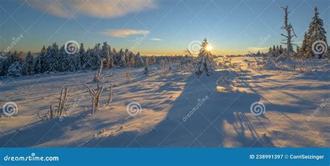 Stunning Panorama Of Snowy Landscape In Winter In Black Forest Snow