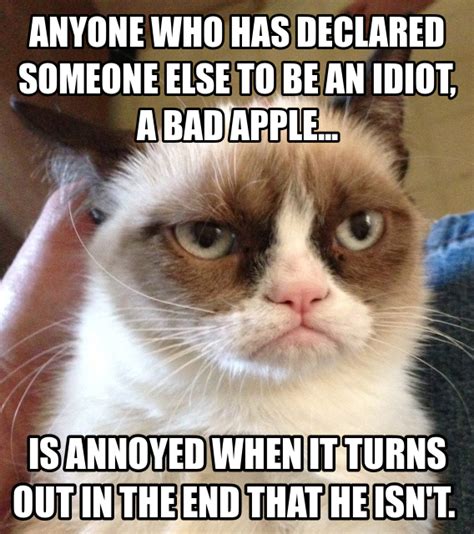 Top 49 Most Funniest Grumpy Cat Quotes Just Laughs Fun