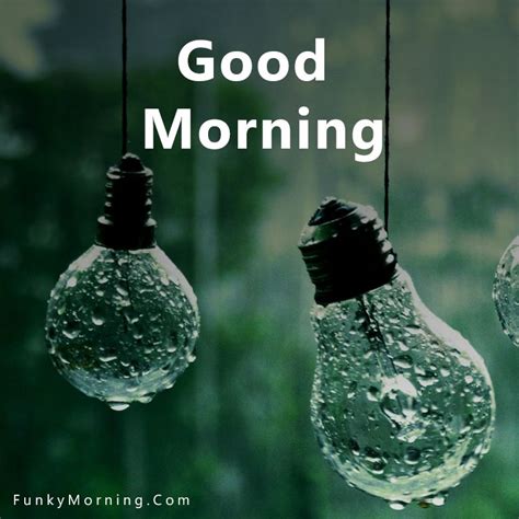 158 Best Rainy Good Morning Images Hd Pics Download Free