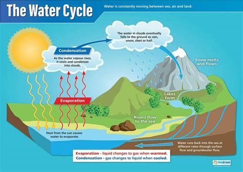 Daydream Education The Water Cycle Science Posters Gloss Paper