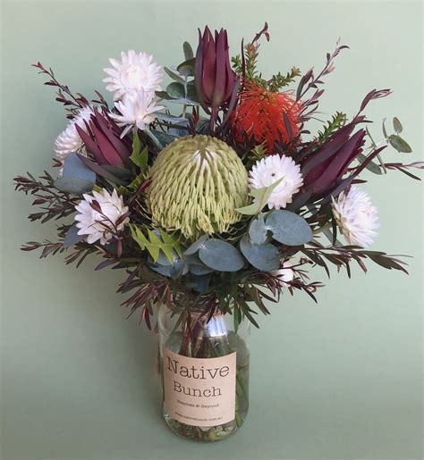 Check spelling or type a new query. This week's natives at Native Bunch - Banksia, Beaufortia ...