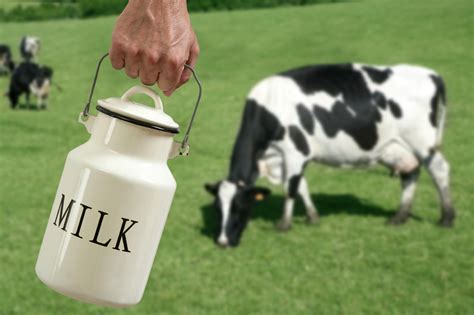 Dairy Cow Milk Micrornas Associated With Exosomes Can Resist Digestion