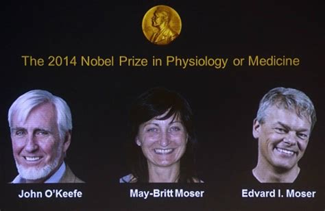 Descubridores Del Gps Del Cerebro Ganan Premio Nobel De Medicina 2014