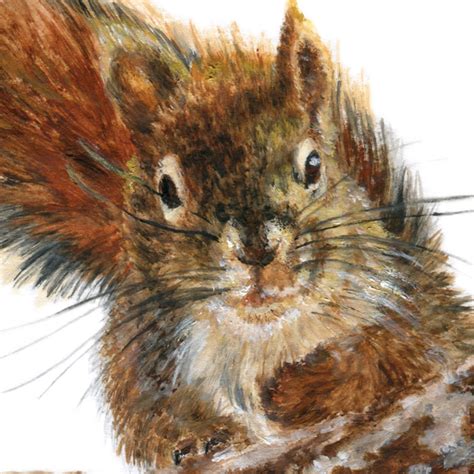 Red Squirrel Original Acrylic Painting Cute Animal Art Etsy
