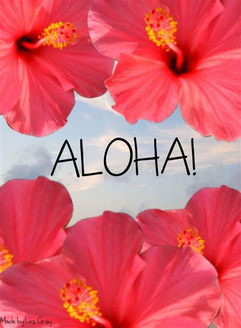 Aloha Wallpaper By Loz Gray Iphone Background Summer Wallpaper Hibiscus