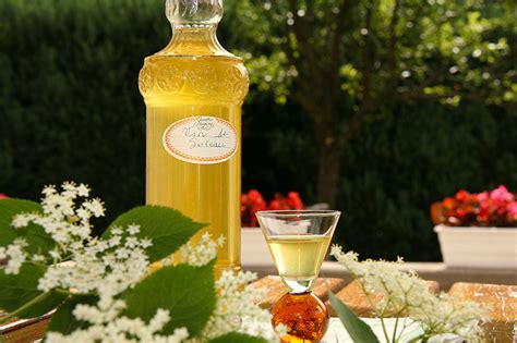 Vin de fleurs Sureau sirop de fleurs Sureau et gelée de fleurs de Sureau