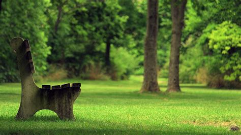 Stone Bench In The Park Wallpaper Nature And Landscape Wallpaper Better