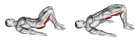 Gehe als erstes mit dem po nach hinten und erst dann mit den oberschenkeln nach unten. ᐅ Beinbizeps trainieren - Top 6 Übungen (Bilder + Videos)