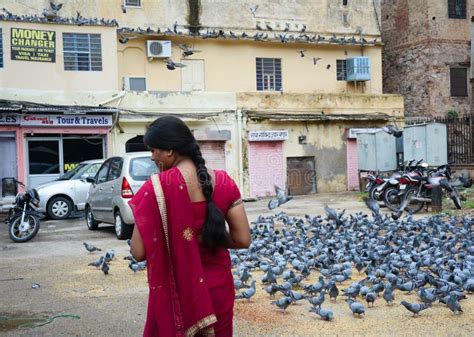 A Woman Feeding Pigeons On Street In Jaipur India Editorial Photo