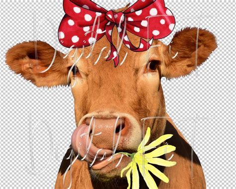 Funny Cow Face Png Digital File Commercial Use Instant Etsy Cows