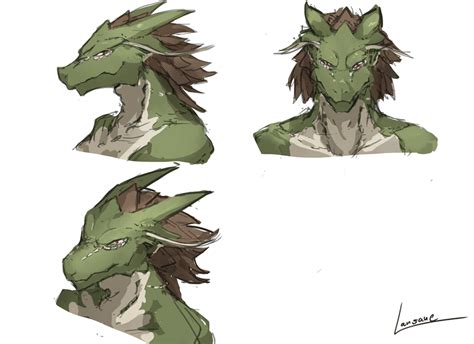 Lansane Original Artist Name Brown Hair Character Sheet Dragon From Side Horns Multiple