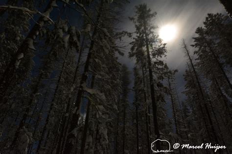 Marcel Huijser Photography Montana Landscapes Snowy
